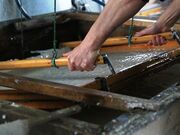 �M�B����a���H�Ƃ̎ʐ^2