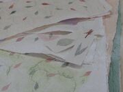 �M�B����a���H�ƗL����Ђ̎ʐ^3