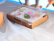 �M�B����a���H�ƗL����Ђ̎ʐ^4