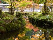 �쏼���̎ʐ^2