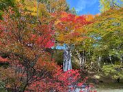 �쏼���̎ʐ^3