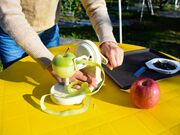 ����_���̎ʐ^2