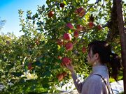 ����_���̎ʐ^3