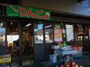 ����_���̎ʐ^4