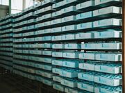 ����̊��V���K�C�h�E�H�[�N�̎ʐ^3