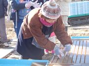 ����̊��V���K�C�h�E�H�[�N�̎ʐ^4