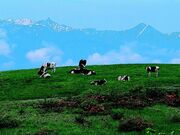 �����x���M��������������{�b�`�����̎ʐ^1