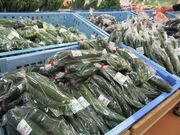 JA���{�n�C�����h�@�t�@�[�}�[�Y�K�[�f���������Ȃ̎ʐ^2