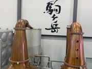 �{�V�𑢁i���j�}���X�M�B�������̎ʐ^4