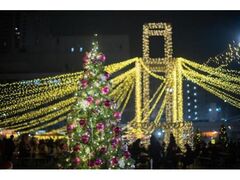 �Ђ낵�܃N���X�}�X�}�[�P�b�g�̎ʐ^1