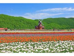 ���݂䂤�ׂ`���[���b�v�t�F�A�̎ʐ^1