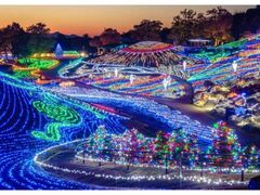 c]܂̂uEB^[t@^W[v̎ʐ^1