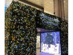 TWILIGHT Xmas@u̎Ԃ؂ɂNX}X̎ʐ^1