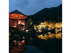 nk_LOuΉvCgAbv̎ʐ^1