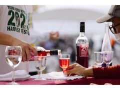 s_Cn[xXgtFXeBo̎ʐ^1