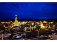 X^[_Xgt@^WA2025-2026 `Odyssey`̎ʐ^1