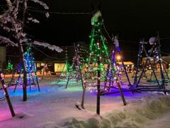 2026˂䉷򋽐ᕨ̎ʐ^1