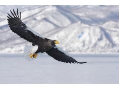 mlC`[N[Y@Xo[hEHb`ON[Y̎ʐ^1