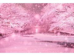 ~ɍ炭烉CgAbv̎ʐ^1