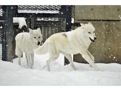 ��̓������̎ʐ^1