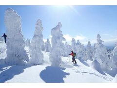 {OXϏܒn@XgR̎X̎ʐ^1