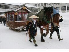 �䂫�Ƃ҂����ȁi�ԉœ����j�̎ʐ^1