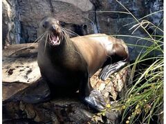 ANA}ӂ܁ugh܂Ȃ2026v̎ʐ^1