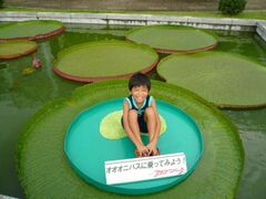 �I�I�I�j�o�X�ɏ���Ă݂悤�I�̎ʐ^1