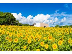 �l���΃K�[�f���p�[�N�̉āuSummer Festa 2026�v�̎ʐ^1
