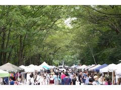 �X�̎�Â���s�`���̂Â���forest�`�̎ʐ^1