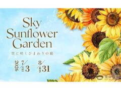 �󒆒뉀�W�]��@�Č��葕���uSky Sunflower Garden ��ɍ炭�Ђ܂��̒�v�̎ʐ^1