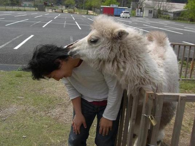 �H�g�䎩�R���������T�t�@�������h