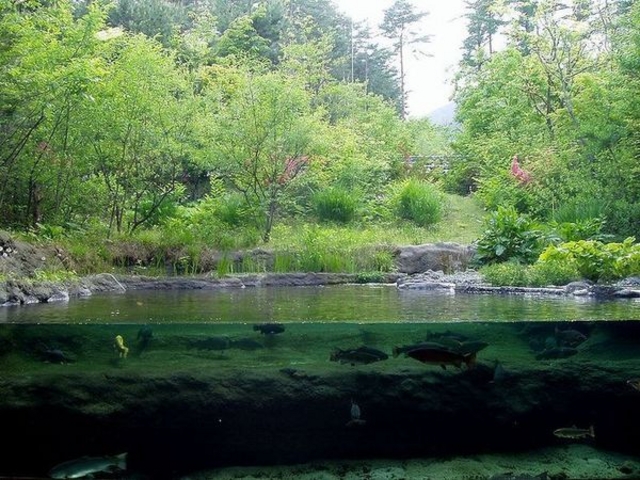 ���c�A���v�X���Â݂̌����@�x���E�䍂�n��