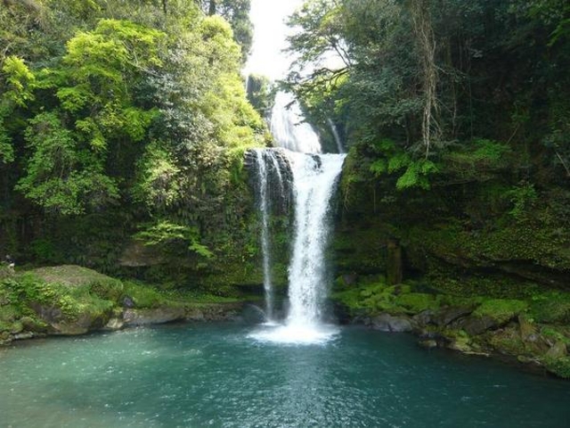 �����̑�