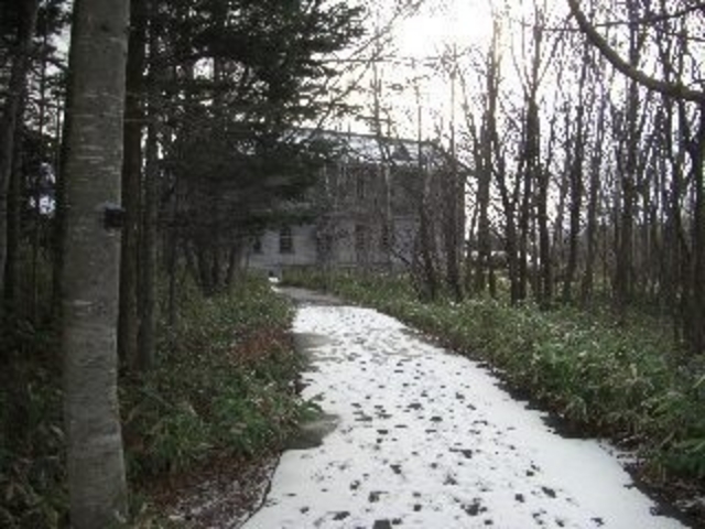 �k�C���J��̑�