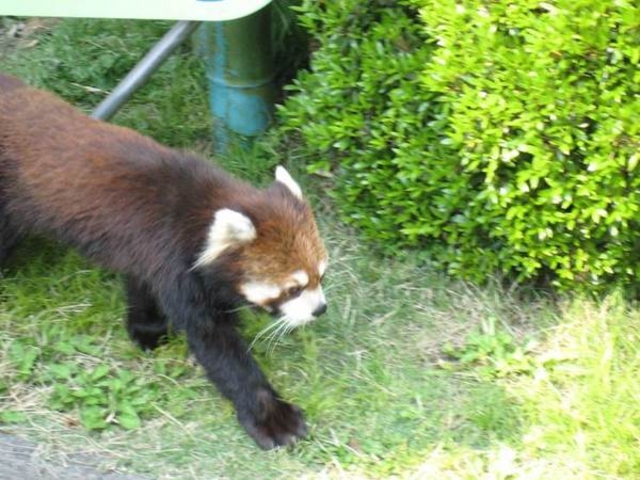 �É��s�����{��������