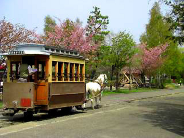 �k�C���J��̑�