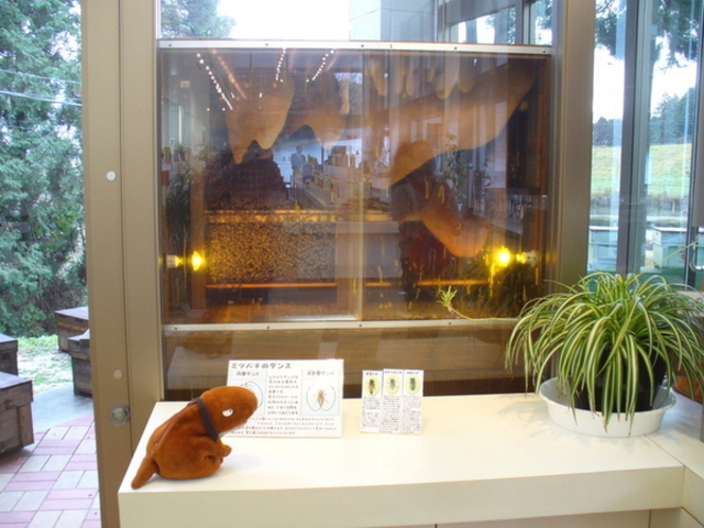 ���{�I�� ���h�݂΂��q��