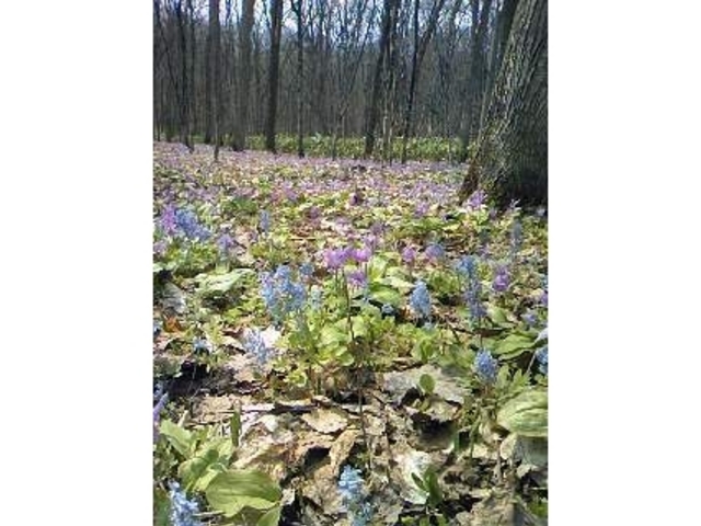 �j�R���R����