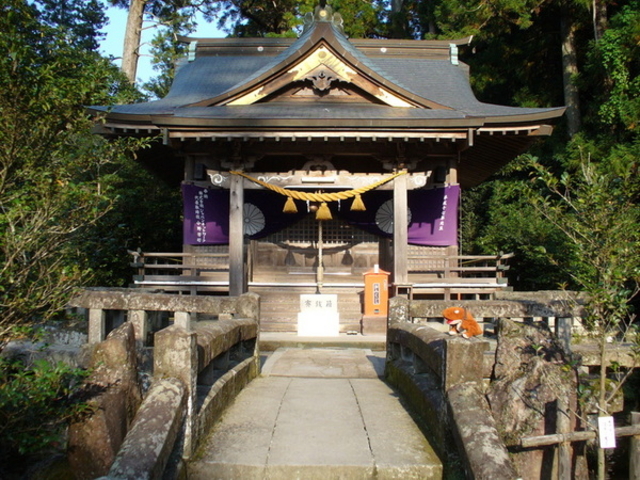 �F�ފ�����_��