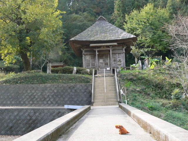 �Ă������p�p����̋{���ω����̓��e�ʐ^1