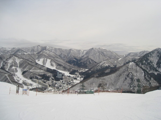 �c��X�L�[��