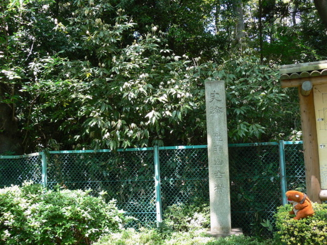 �T�b�R�Õ�