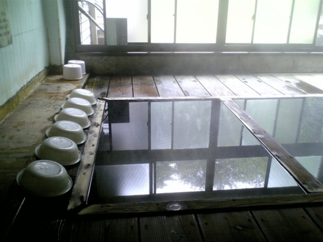 �O�l��������