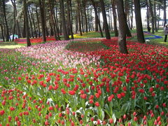 michi̍cЂClւ̓eʐ^1