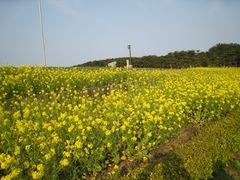 manayuna̍cЂClւ̓eʐ^1