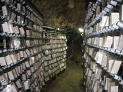 tottȍߓÎ𑠁@ὠeʐ^1