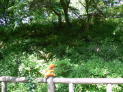 Ăpp̕󗈎RÕ̓eʐ^1