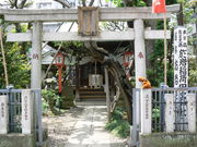 �Ă������p�p����̉����דc�{�_�Ђ̓��e�ʐ^1