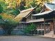 まっきーさんの安房神社（千葉県館山市）への投稿写真3